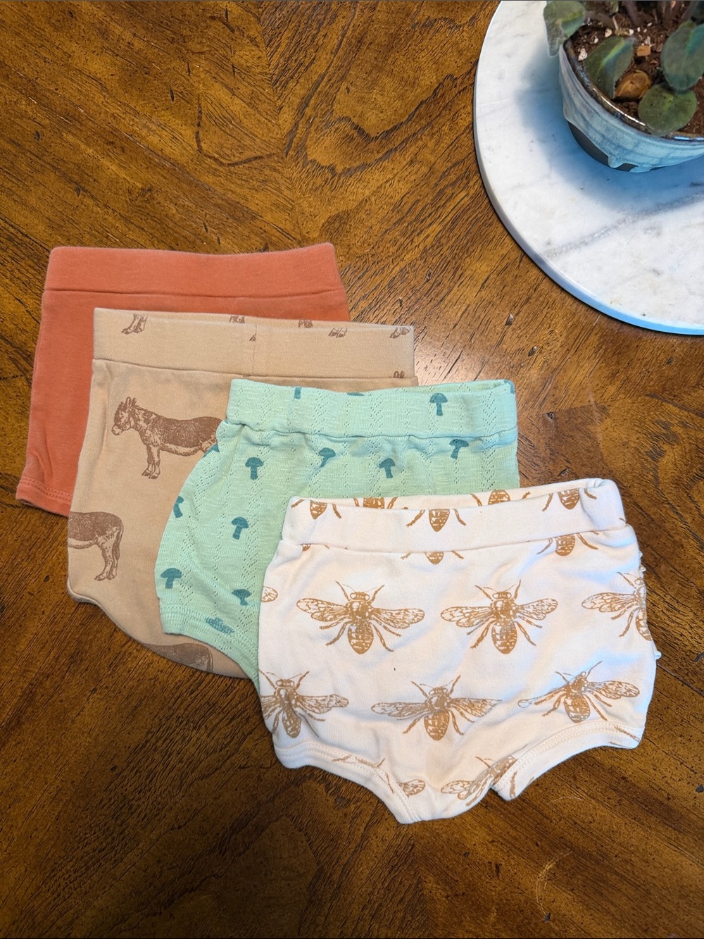 Kids Multi-Color Cotton Training Shorts - 4 Pack